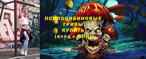 ПСИЛОЦИБИНОВЫЕ ГРИБЫ Балабаново