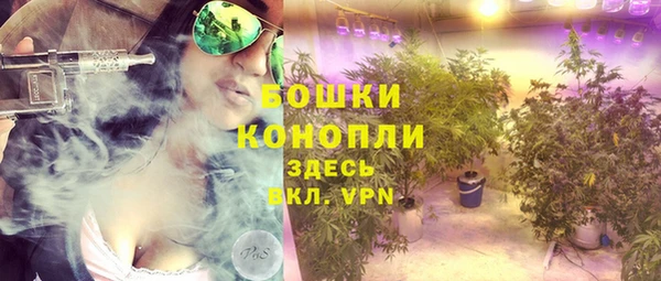 эйфоретик Осинники