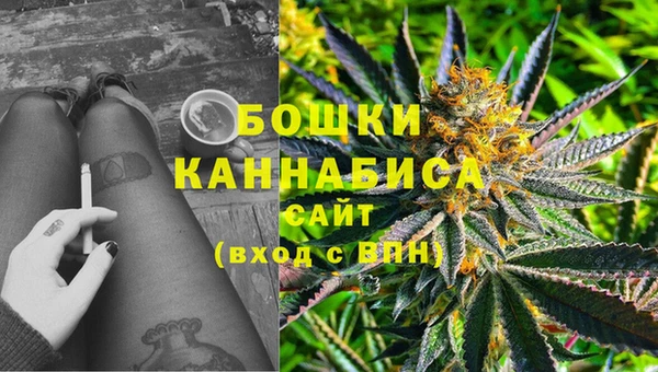 ПСИЛОЦИБИНОВЫЕ ГРИБЫ Балабаново