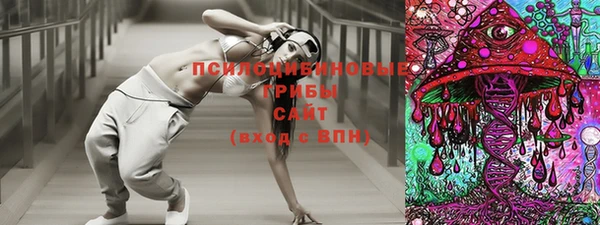 ПСИЛОЦИБИНОВЫЕ ГРИБЫ Балабаново